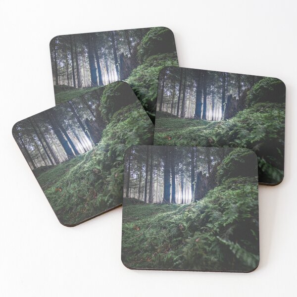 Item preview, Mystical forest: Moss-covered forest floor in sunlight designed and sold by SchuLou-Fotokram.