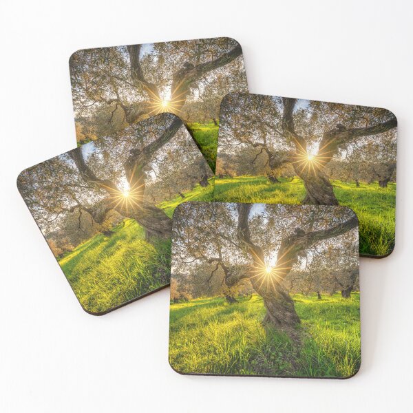 Item preview, Sunset sun in the center of an olive tree in Tuscany, Italy designed and sold by Stefano Orazzini.