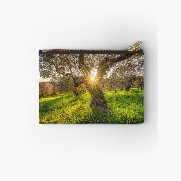 Item preview, Sunset sun in the center of an olive tree in Tuscany, Italy designed and sold by Stefano Orazzini.