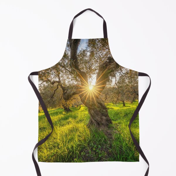 Item preview, Sunset sun in the center of an olive tree in Tuscany, Italy designed and sold by Stefano Orazzini.