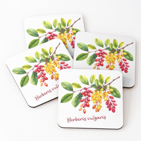 Item preview, Berberis Vulgaris - Botanical Illustration designed and sold by Litely.