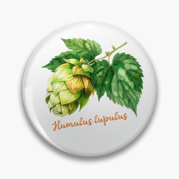Item preview, Humulus lupulus - Ilustración botánica designed and sold by Litely.