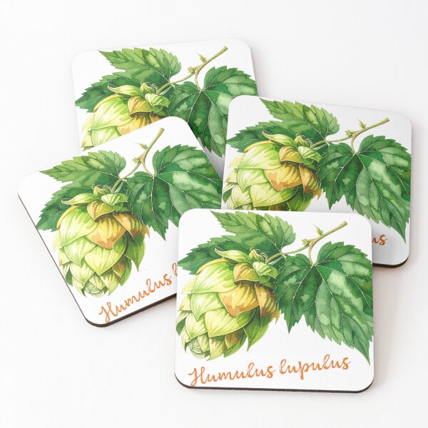 Item preview, Humulus lupulus - Ilustración botánica designed and sold by Litely.