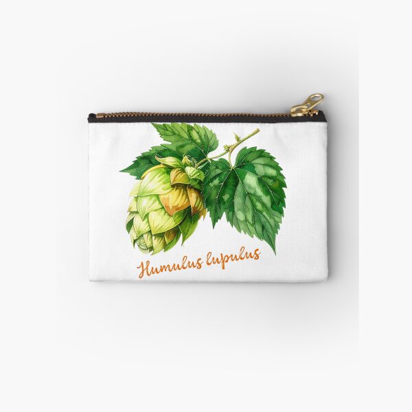 Aperçu de l'œuvre Humulus Lupulus - Illustration botanique créée et vendue par Litely.