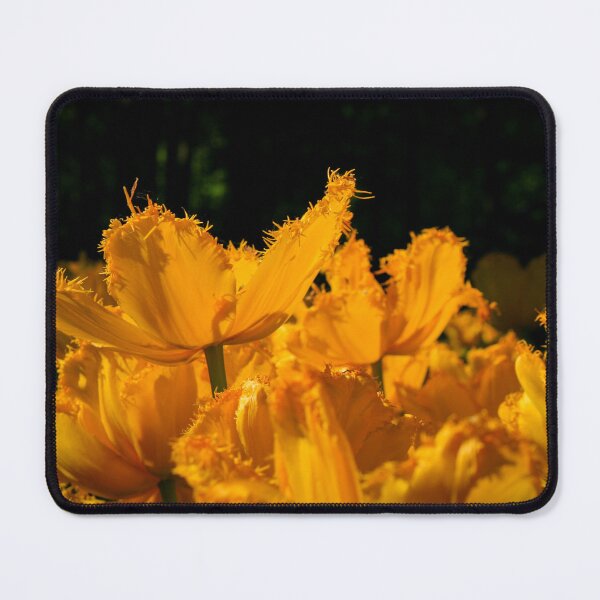 Item preview, Dramatic Golden Fringed Tulips designed and sold by CPhotographs.