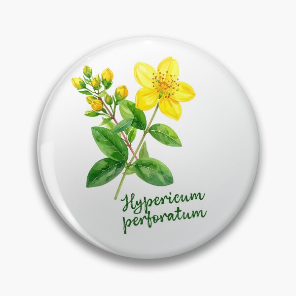 Item preview, Hypericum Perforatum - Botanical Art designed and sold by Litely.