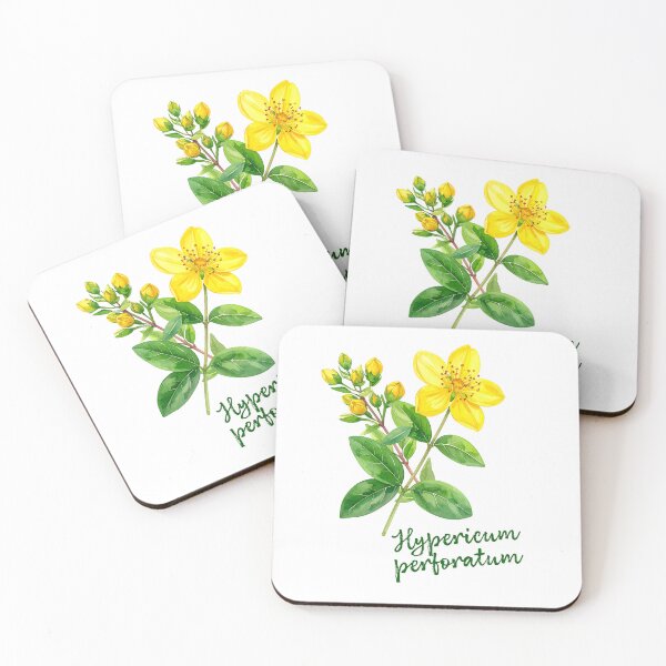 Item preview, Hypericum Perforatum - Botanical Art designed and sold by Litely.