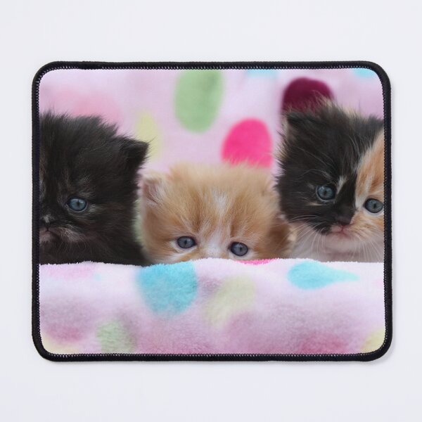 Item preview, We're awake from hypersleep and ready for action! designed and sold by micklyn.