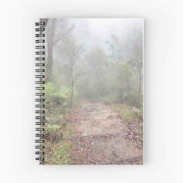 Artikelvorschau, Wanderweg, Wentworth Falls, NSW Australien entworfen und verkauft von LightSplashes.