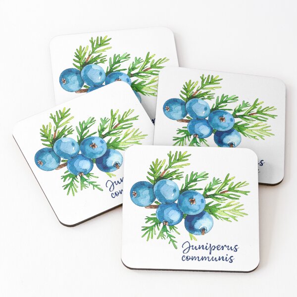 Item preview, Juniperus Communis - Botanical Illustration designed and sold by Litely.
