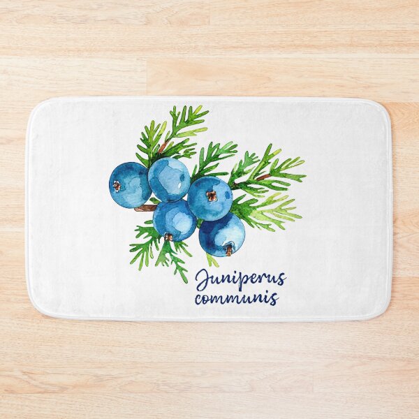 Item preview, Juniperus Communis - Botanical Illustration designed and sold by Litely.