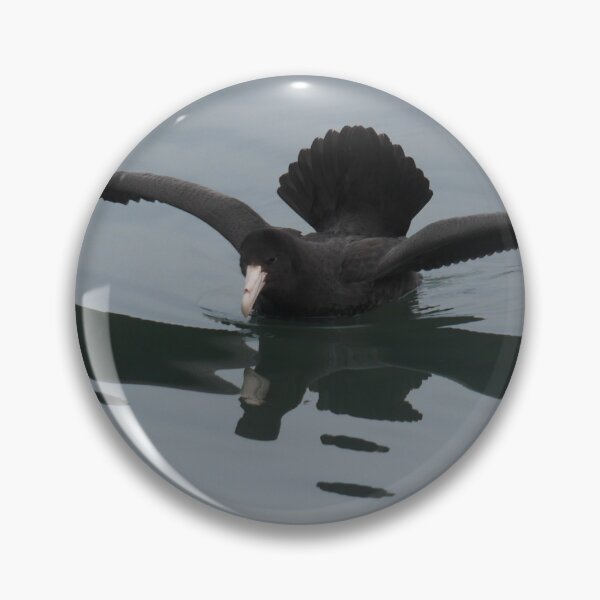 Item preview, Reflecting near the Fridtjof Nansen designed and sold by Larry Davis.
