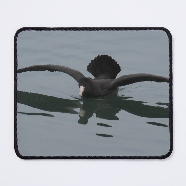 Item preview, Reflecting near the Fridtjof Nansen designed and sold by Larry Davis.