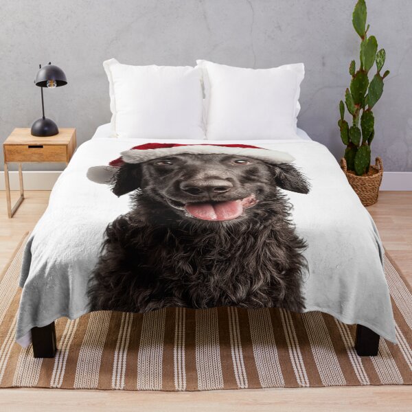 Item preview, Cute Curly-Coated Retriever Christmas Art — Curly-Coated Retriever Wearing Santa Hat designed and sold by LazyOwlStore.