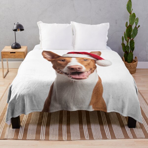 Item preview, Cute Ibizan Hound Christmas Art — Ibizan Hound Wearing Santa Hat designed and sold by LazyOwlStore.