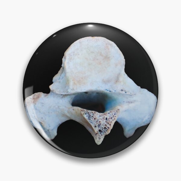 Item preview, Sheep Vertebrae designed and sold by Maddy the Maker.