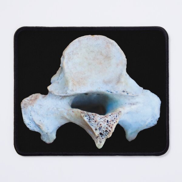 Item preview, Sheep Vertebrae designed and sold by Maddy the Maker.