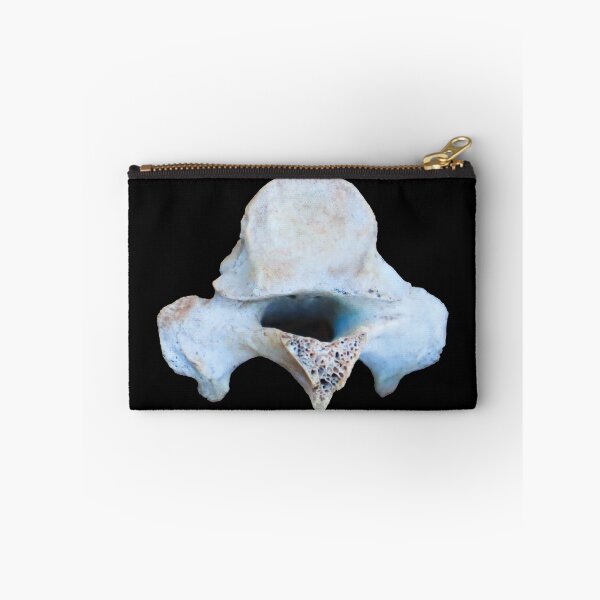 Item preview, Sheep Vertebrae designed and sold by Maddy the Maker.
