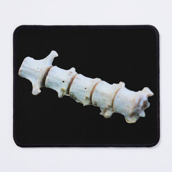 Item preview, Rabbit Spine designed and sold by Maddy the Maker.