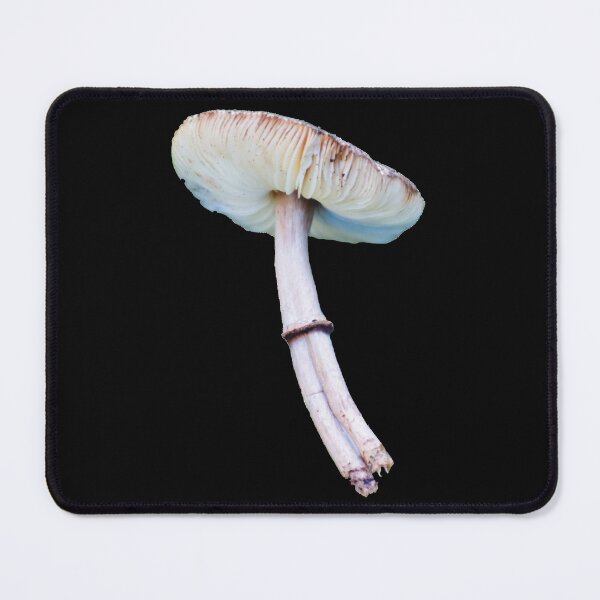 Item preview, Double-stemmed Graceful Parasol Mushroom designed and sold by Maddy the Maker.