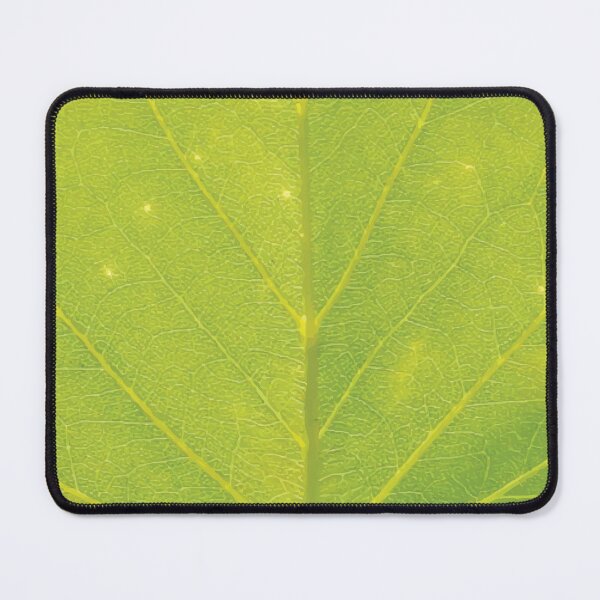 Item preview, Golden Green Tulip Tree Leaf designed and sold by Maddy the Maker.