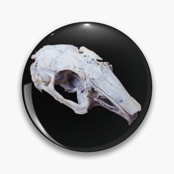 Item preview, Rabbit Skull designed and sold by Maddy the Maker.