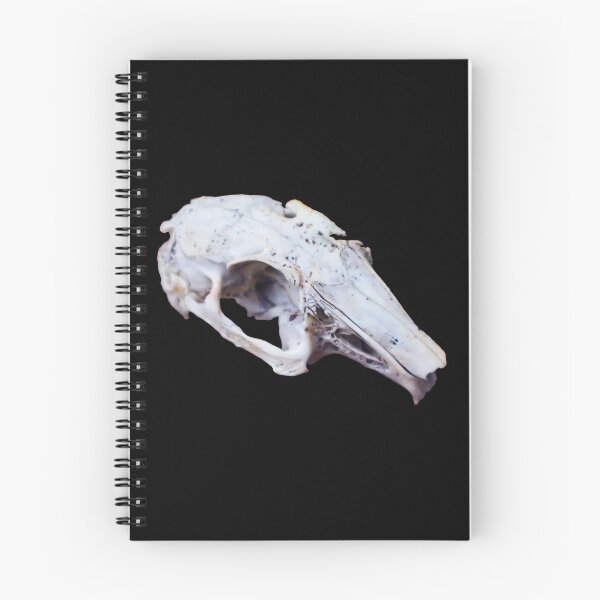 Item preview, Rabbit Skull designed and sold by Maddy the Maker.