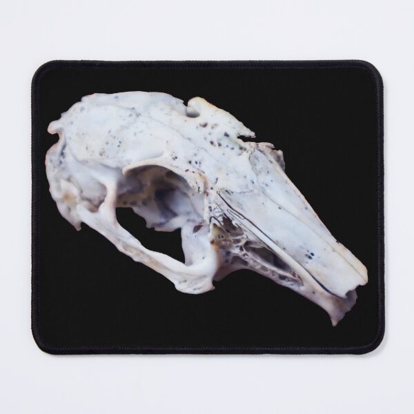 Item preview, Rabbit Skull designed and sold by Maddy the Maker.