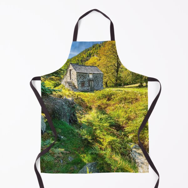 Item preview, Welsh Barn Autumn Snowdonia designed and sold by AJEvans.