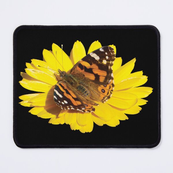 Item preview, Painted Lady Butterfly on Yellow Calendula Flower designed and sold by Maddy the Maker.
