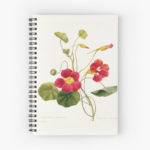 Item preview, Nasturtium designed and sold by SharonTheFirst.