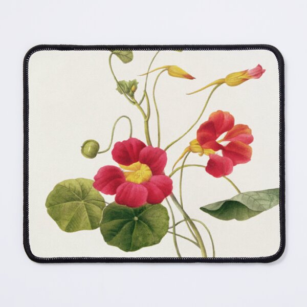 Item preview, Nasturtium designed and sold by SharonTheFirst.