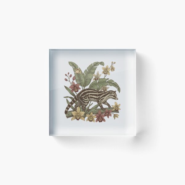 Item preview, Banded Palm Civet Among Banana Leaves designed and sold by BirdsnStuff.