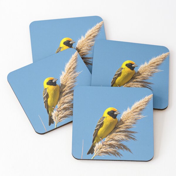 Item preview, A vibrant yellow bird with a black face mask perched on a fluffy wheat-like plant against a clear blue sky designed and sold by homydesign.