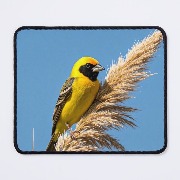Item preview, A vibrant yellow bird with a black face mask perched on a fluffy wheat-like plant against a clear blue sky designed and sold by homydesign.