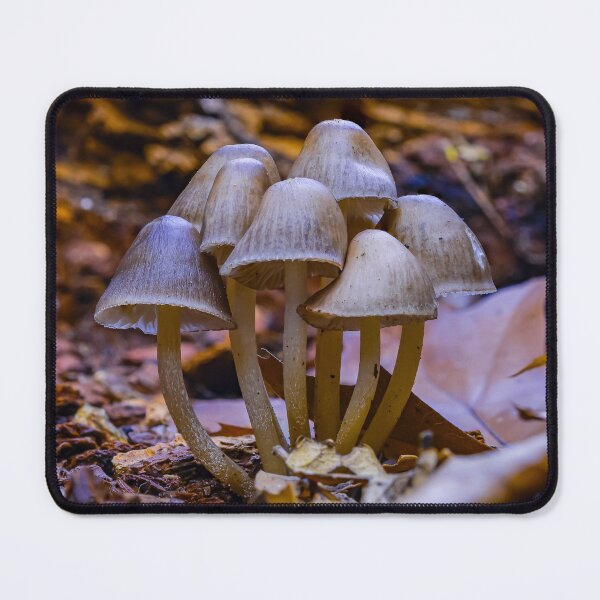 Item preview, Stick Together designed and sold by VanderWyst RE-Design.