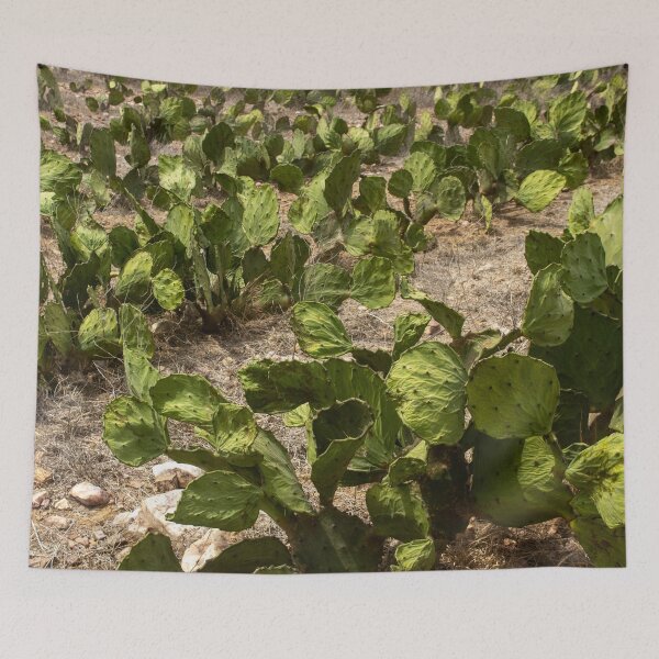 Item preview, palm plantation designed and sold by felipequeiroz.