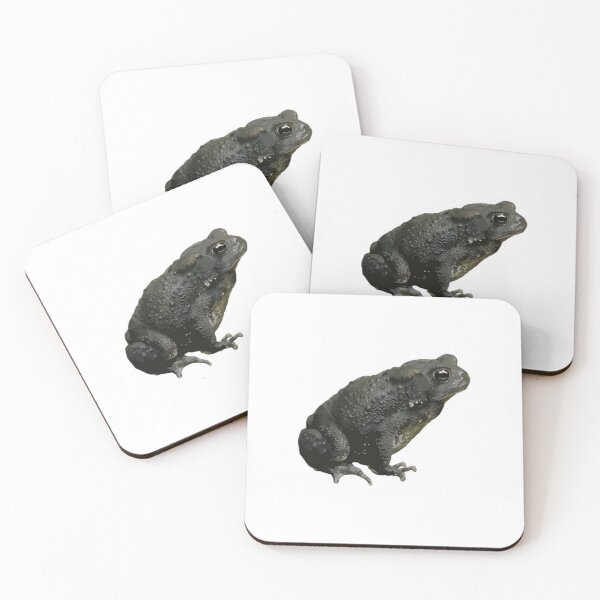 Item preview, American Toad designed and sold by SeguiNatura.