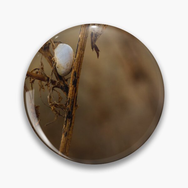Item preview, Close-Up of a White Cocoon on a Dry Plant Stem in Nature designed and sold by Nmallia.