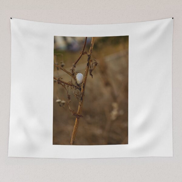 Item preview, Close-Up of a White Cocoon on a Dry Plant Stem in Nature designed and sold by Nmallia.