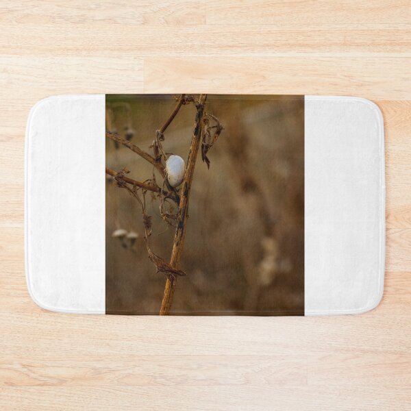 Item preview, Close-Up of a White Cocoon on a Dry Plant Stem in Nature designed and sold by Nmallia.