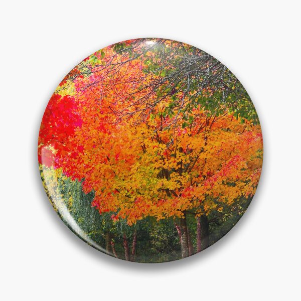 Item preview, Haverhill's Swayze Park designed and sold by AlNovie.