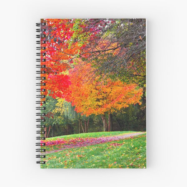 Item preview, Parque Swayze de Haverhill designed and sold by AlNovie.