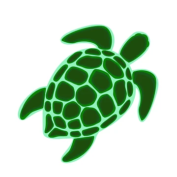 Artwork thumbnail, Turtle by Rylee Mitchell