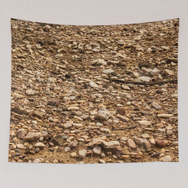 Item preview, many stones scattered in a dry place 3 designed and sold by felipequeiroz.