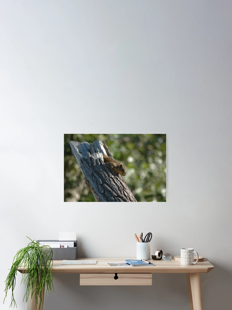 Thumbnail 2 of 3, Poster, New Occupant designed and sold by Holly Werner.