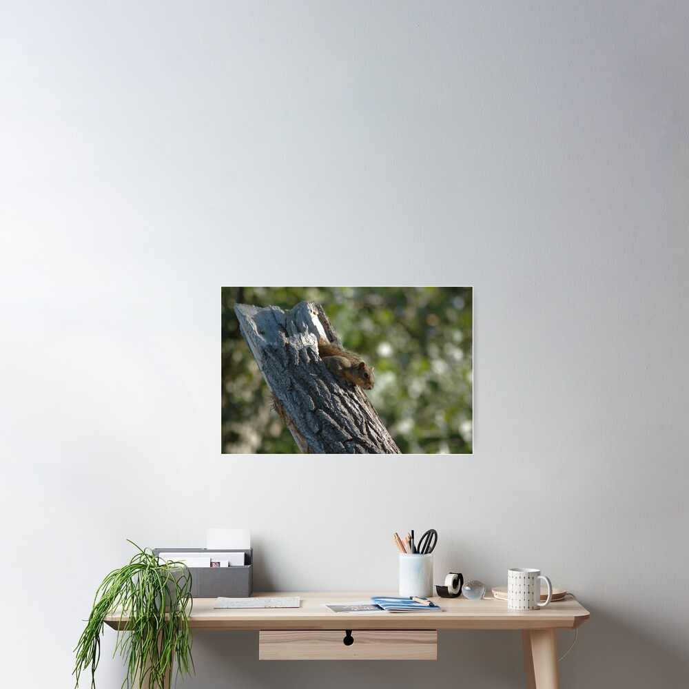 Item preview, Poster designed and sold by ritesideup.
