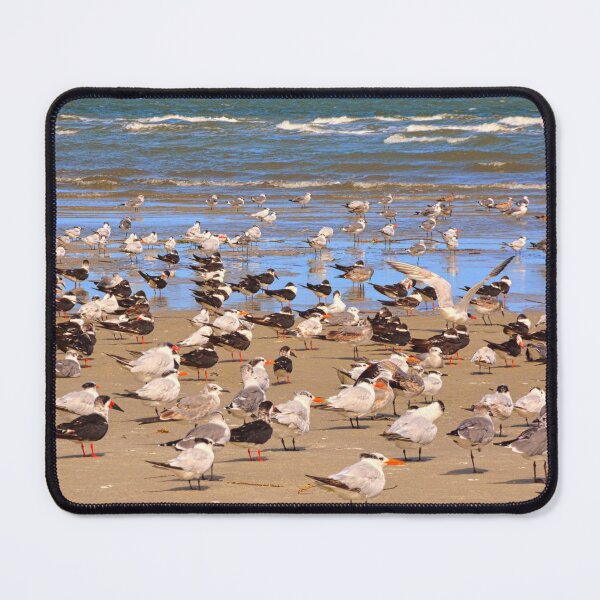 Item preview, Seagulls Flocking on Hilton Head Beach designed and sold by LisaWootenPhoto.