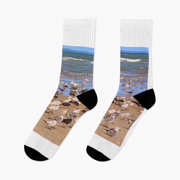 Item preview, Seagulls Flocking on Hilton Head Beach designed and sold by LisaWootenPhoto.