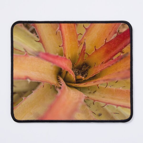 Item preview, wild plant with thorns designed and sold by felipequeiroz.